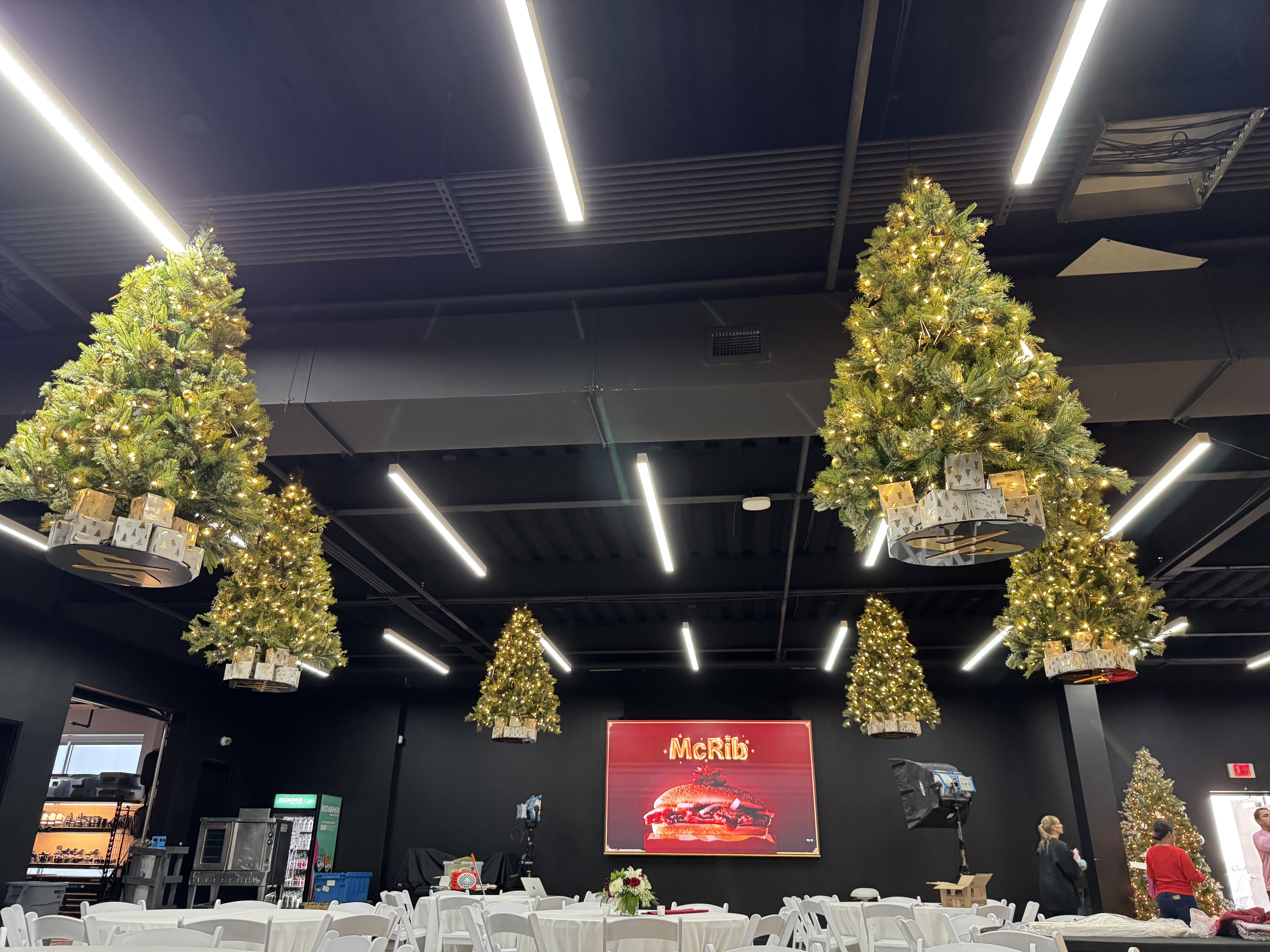 Commercial Christmas lighting installation, photo 114 of 114