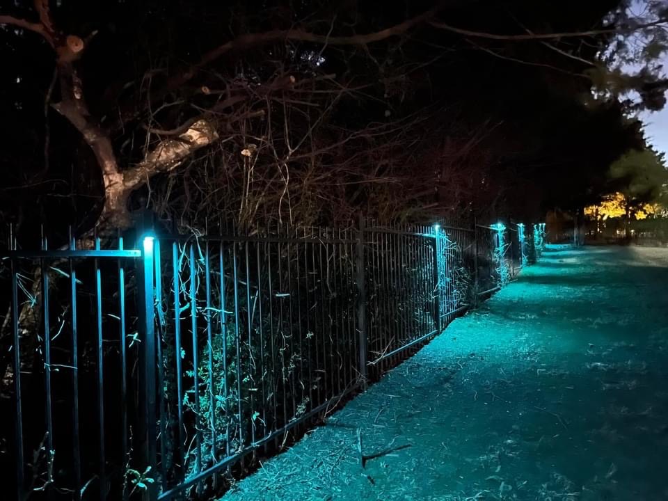 Landscape lighting installation, photo 101 of 114