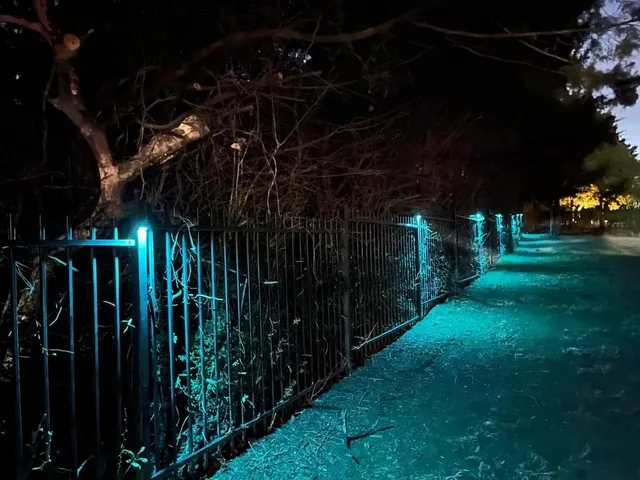 Landscape lighting installation, photo 101 of 114