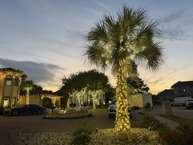 Residential Christmas lighting installation, photo 59 of 114