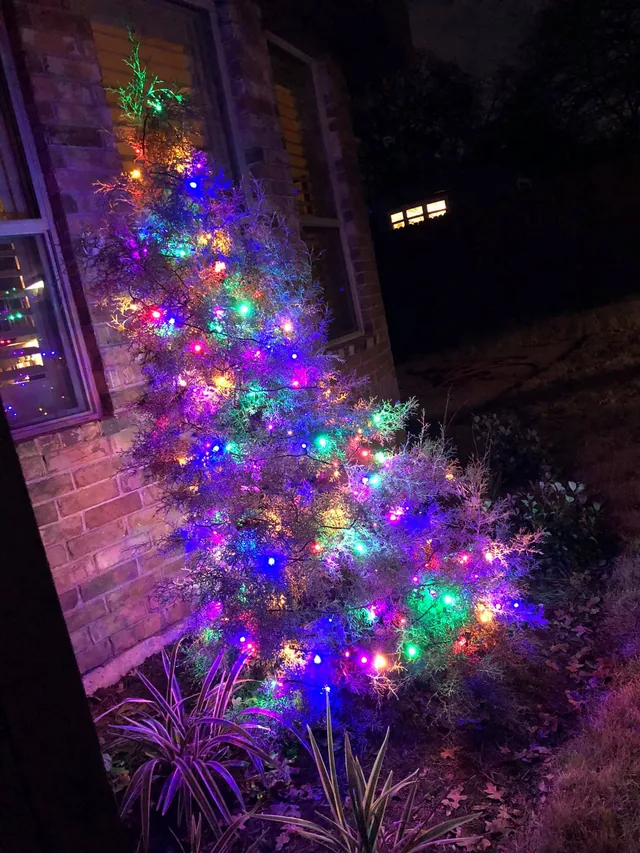 Residential Christmas lighting installation, photo 97 of 114