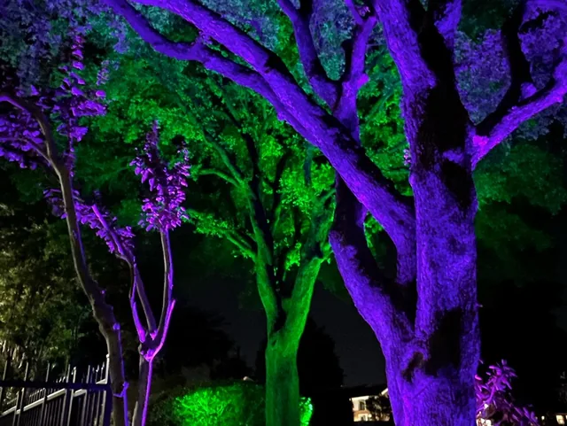 Landscape lighting installation, photo 109 of 114