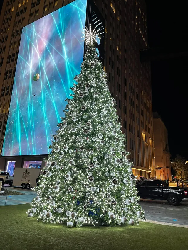 Commercial Christmas lighting installation, photo 17 of 114