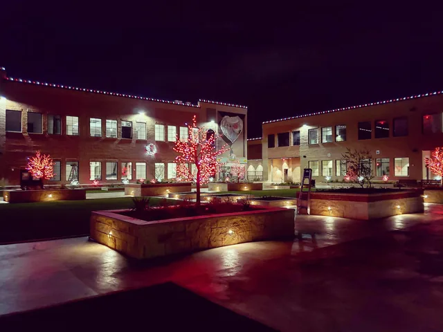 Commercial Christmas lighting installation, photo 85 of 114