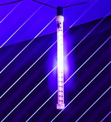 12" Purple LED Light Drop (Pre-Order)
