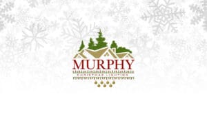 Replacing Mini Light Fuses - Murphy,Inc